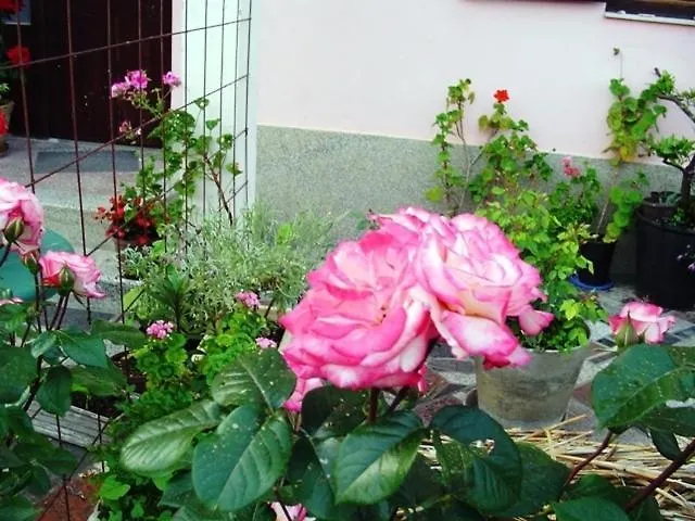Apartment In Pakostane With Terrace, Wifi 0*,