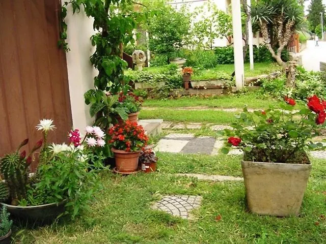 Apartment In Pakostane With Terrace, Wifi